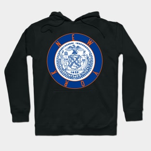 NYC Flag Decal Hoodie